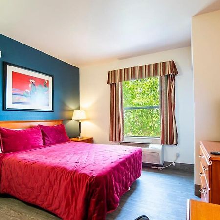 Sierra Vista Studio Apartment With Full Kitchen And King Bed Esterno foto